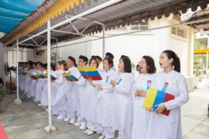 HÌNH ẢNH 13
