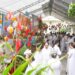 Hình ảnh: Đại lễ tấn tôn Đức Diêu Trì Kim Mẫu – Trung Thu 2023
